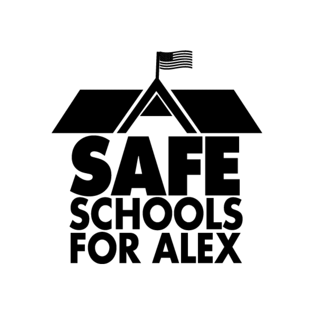 Max Schachter, Safe Schools for Alex